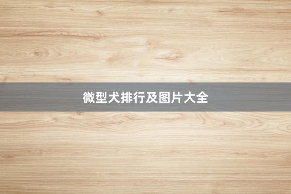 微型犬排行及图片大全